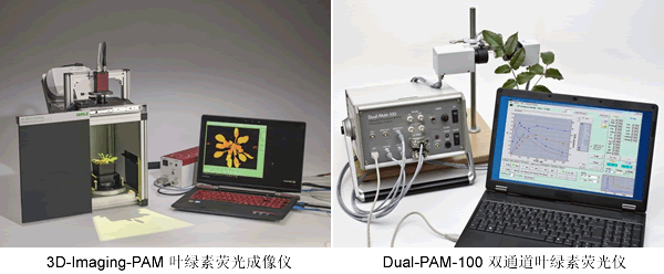 image017.gif image017.gif