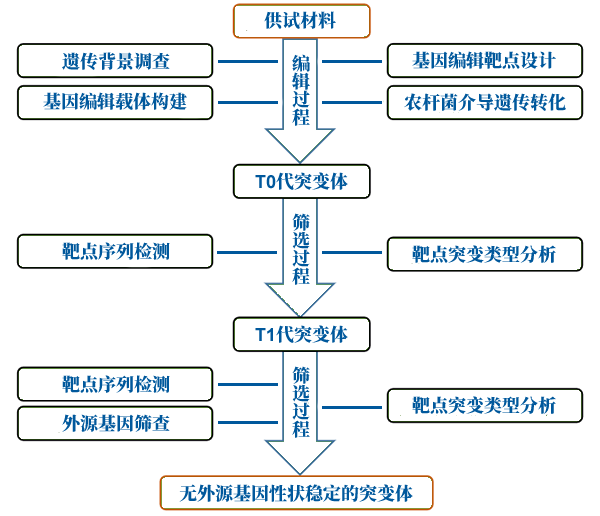 图223031501.png