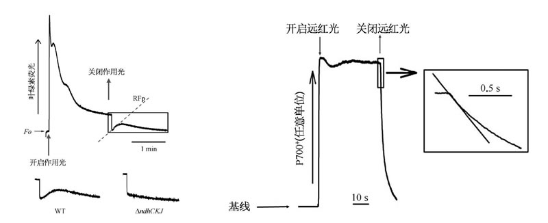 图525022801.jpg