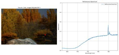 图片11.png 图片11.png